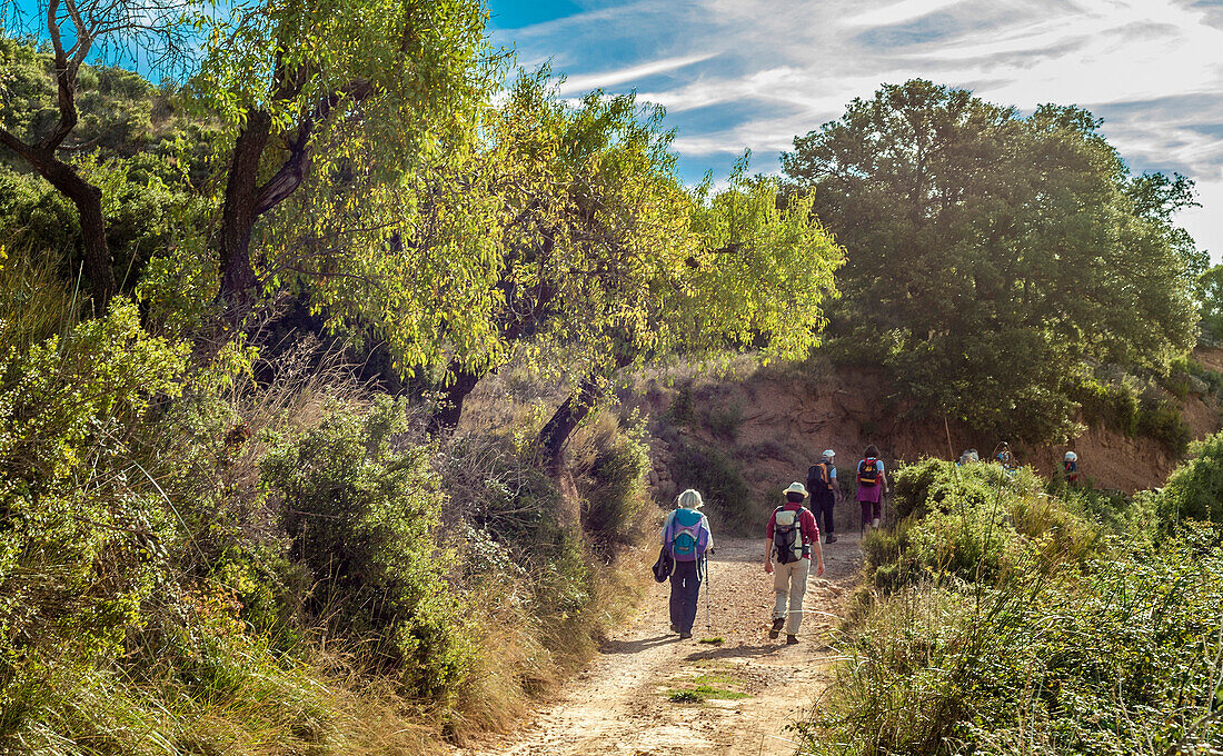 Spanien,Aragon,Wanderer auf einem Wanderweg bei Aguero