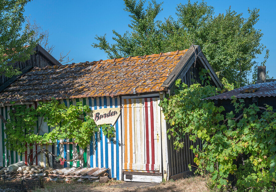 France,Arcachon Bay (Bassin d'Arcachon),hut at the oyster port of La Teste de Buch (Domaine Public Maritime)