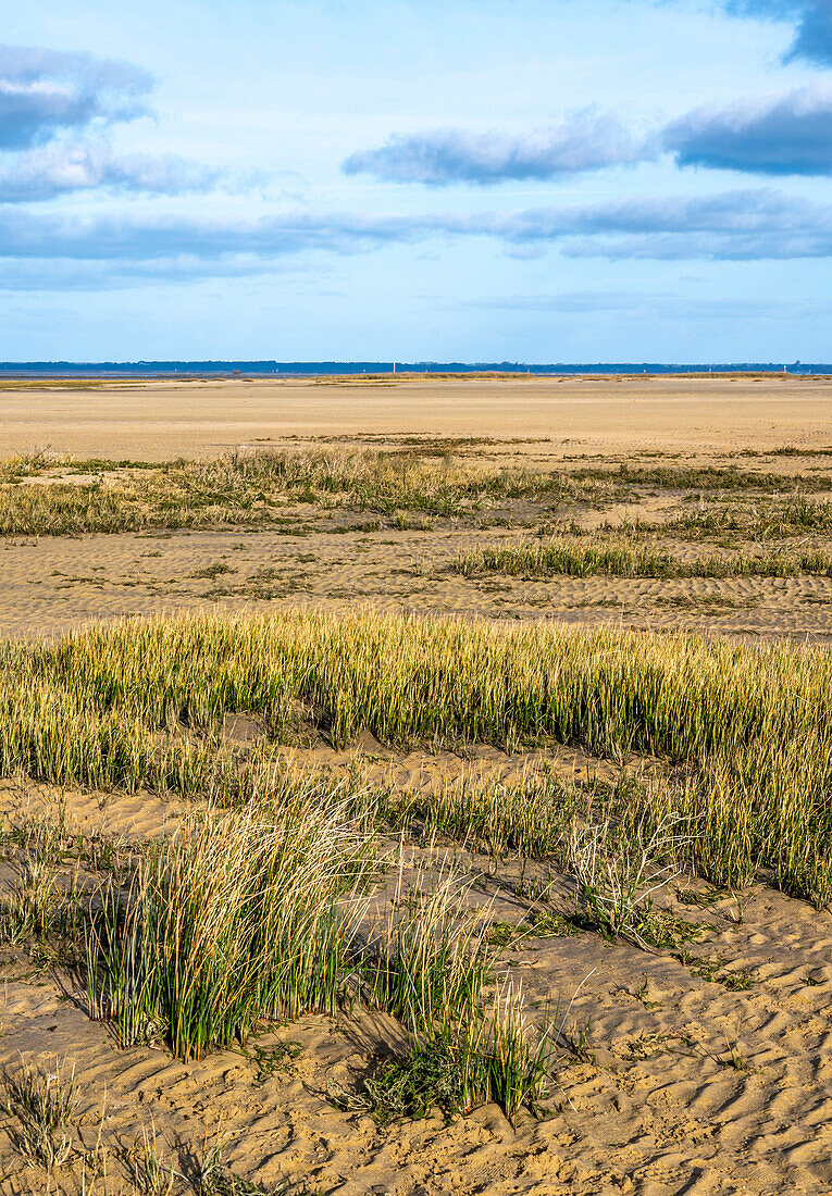 France,Gironde,Bassin d'Arcachon, the beach of La Hume at low tide in Gujan-Mestras