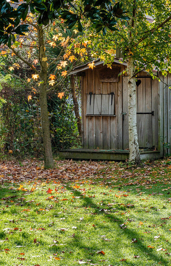 France,Nouvelle Aquitaine,hut in a garden in autumn