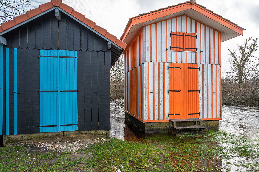 France,Gironde,Arcachon Bay (Bassin d'Arcachon),colorful hut of the port of Biganos threatened by flooding (overflow of the Lleyre,winter 2021)