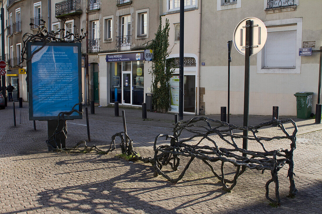 France,Nantes,44,Sainte-Elisabeth square,"La Plante Imaginaire" (The Imaginary Plant) (Aurelia tactotrope) artiste: Patrick Corillon (2002)