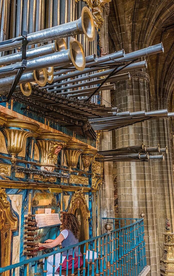 Spain,Rioja,Medieval Days of Briones,organ of the church of Our Lady of the Assumption (Saint James Way)