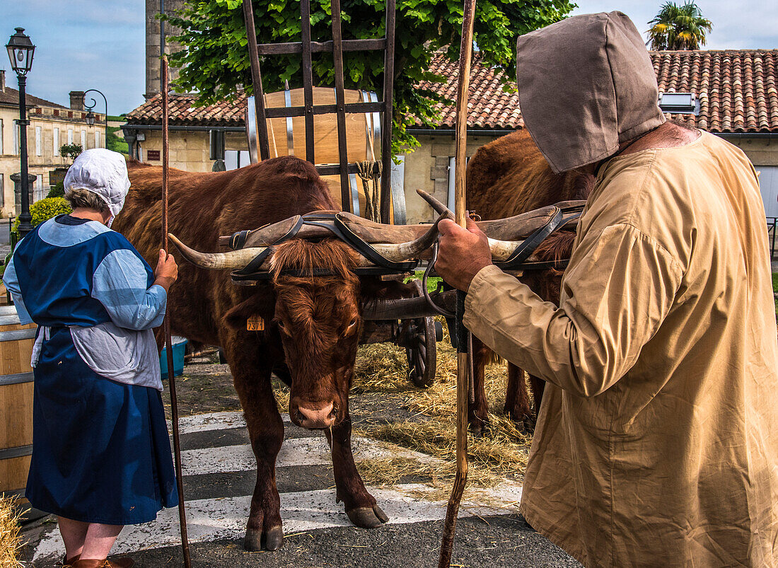 France,Gironde,Saint Emilion,Celebrations of the 20th anniversary of the inscription on UNESCO's World Heritage List,ceremony of the marking of barrels by the Jurade