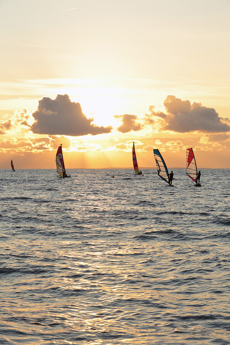 Frankreich,Bourgneuf Bay,La Bernerie-en-Retz,letzter Ausflug 2019 für die Societe des Regates de La Bernerie.