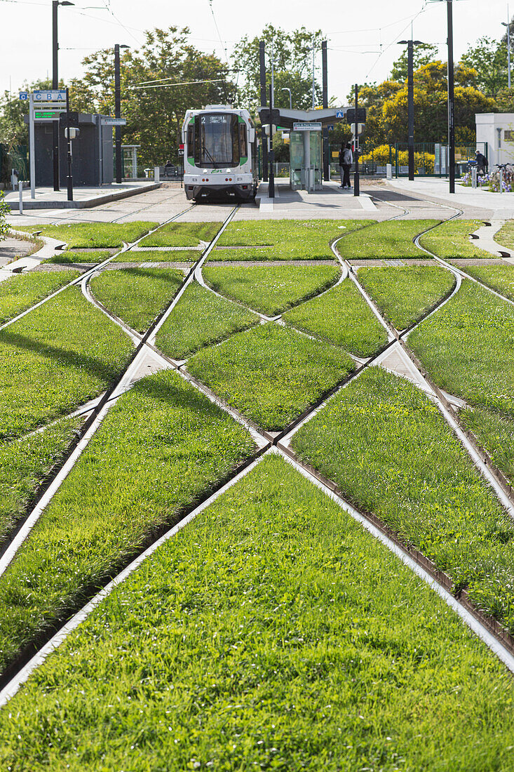 France,Nantes,44,grass between the tram rails at the terminus of the Reze-Pont-Rousseau SNCF station