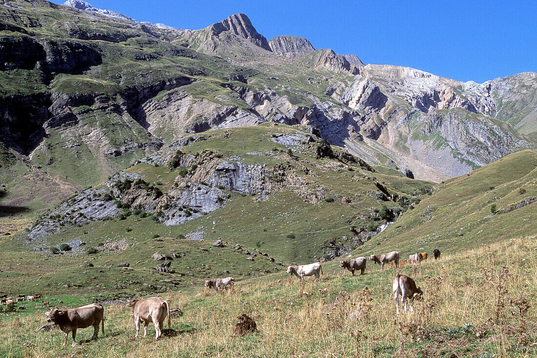 Spain,Aragon,Province of Huesca,Torla,national parc of Ordesa,Otal valley