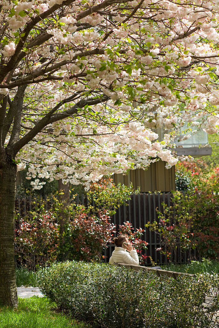 France,Paris,75,17th arrondissement,Clichy-les-Batignolles,Park Martin Luther King,spring