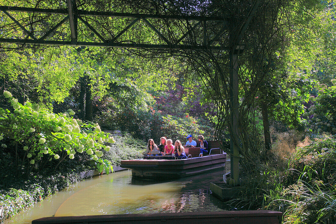 France,pays de la loire,Maine et Loire (49),Angers,Terra Botanica park,Saint martin collegiate church