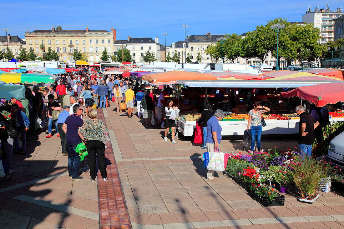 France,pays de la loire,Maine et Loire (49),Angers,Lafayette square,the market