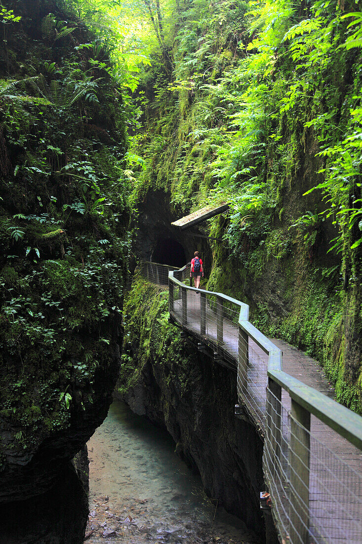 Frankreich,Nouvelle Aquitaine,Pyrenees atlantique (64),French Basque country,Sainte Engrace,Kakouetta gorges