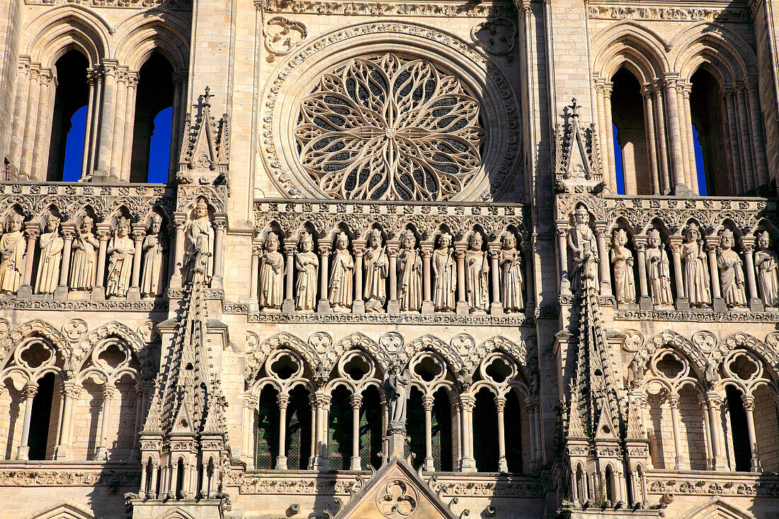 France,Hauts de France,Somme department (80),Amiens,Notre Dame cathedral,unesco world heritage