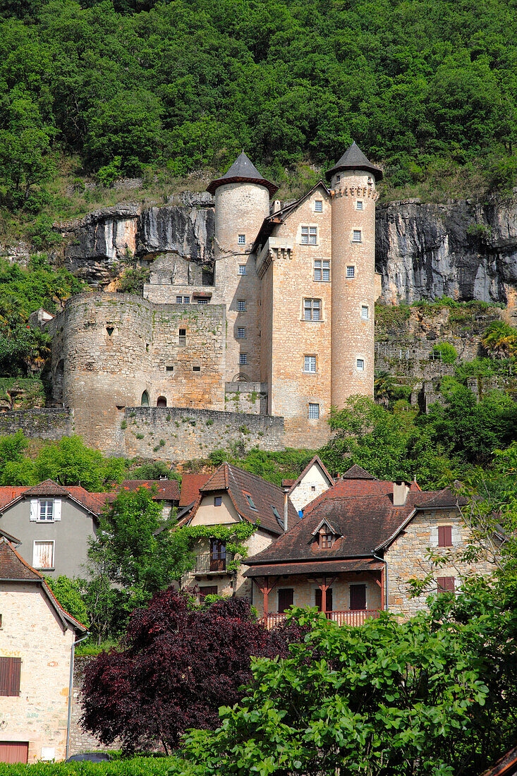 France,Occitanie,Lot departement (46),lot Valley,Larroque Toirac castle