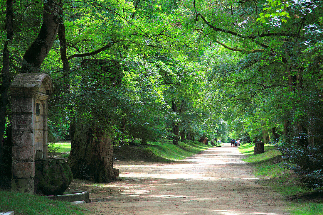 France,Nouvelle Aquitaine,Lot et Garonne department (47),Nerac,la Garenne park