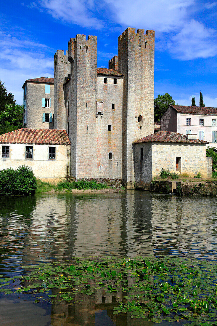 Frankreich,Nouvelle Aquitaine,Lot et Garonne department (47),Barbaste,Moulin des Tours (mill) and romanesque bridge