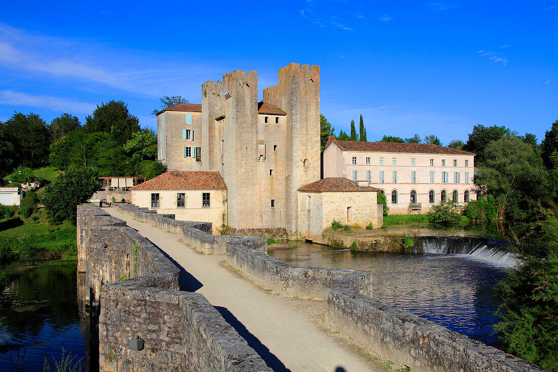 France,Nouvelle Aquitaine,Lot et Garonne department (47),Barbaste,Moulin des Tours (mill) and romanesque bridge