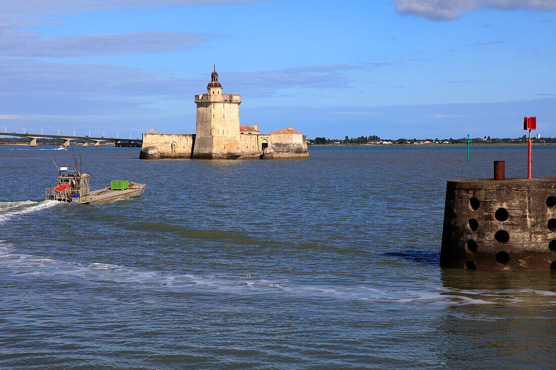 Frankreich,Nouvelle Aquitaine,Charente Maritime department (17),Marennes area,Bourcefranc le Chapus