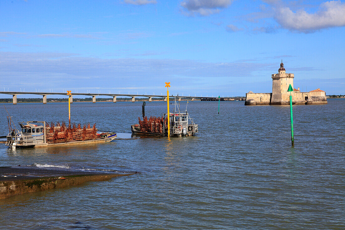 France,Nouvelle Aquitaine,Charente Maritime department (17),Marennes area,Bourcefranc le Chapus