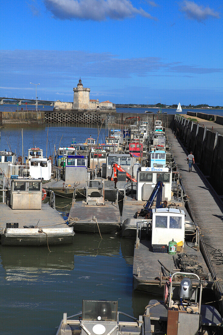 Frankreich,Nouvelle Aquitaine,Charente Maritime department (17),Marennes area,Bourcefranc le Chapus