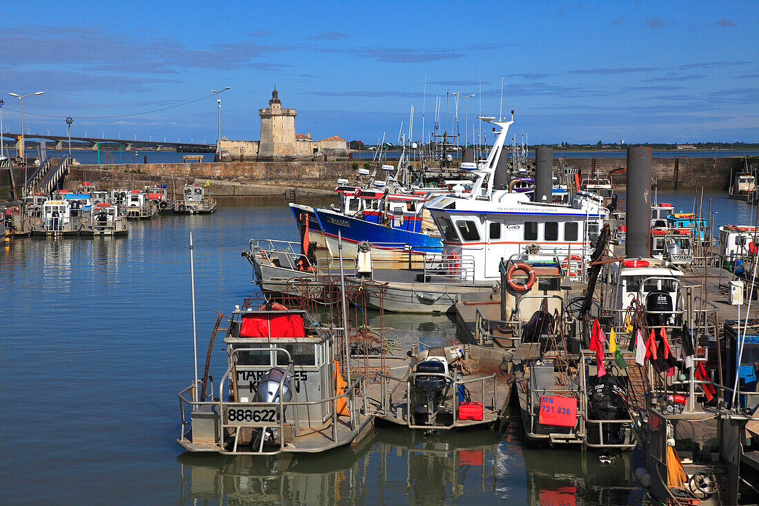 Frankreich,Nouvelle Aquitaine,Charente Maritime department (17),Marennes area,Bourcefranc le Chapus