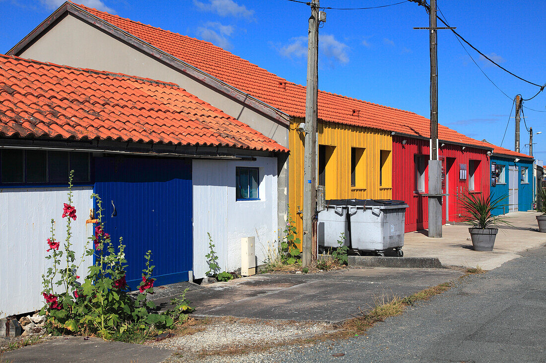 Frankreich,Nouvelle Aquitaine,Charente Maritime department (17),Marennes area,Bourcefranc le Chapus