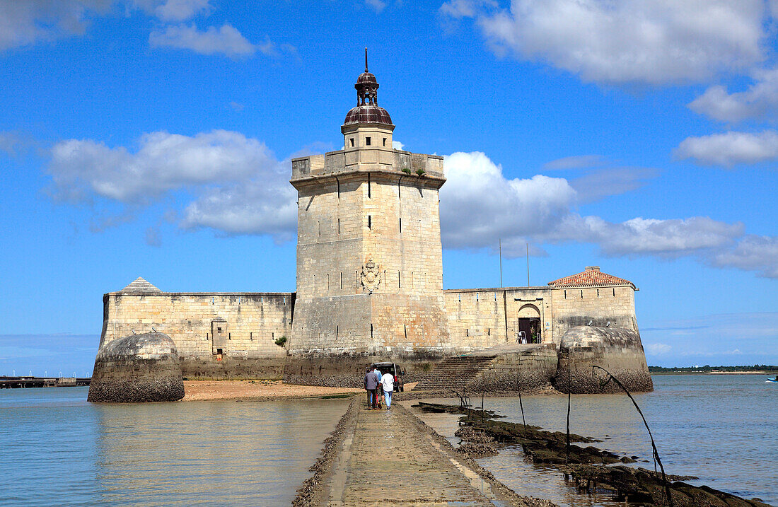 France,Nouvelle Aquitaine,Charente Maritime department (17),Marennes area,Bourcefranc le Chapus,fort Louvois