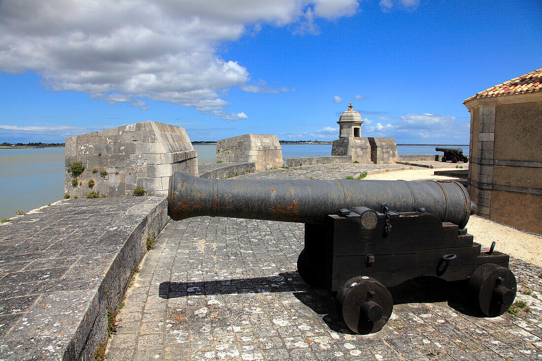 Frankreich,Nouvelle Aquitaine,Charente Maritime department (17),Marennes area,Bourcefranc le Chapus,fort Louvois