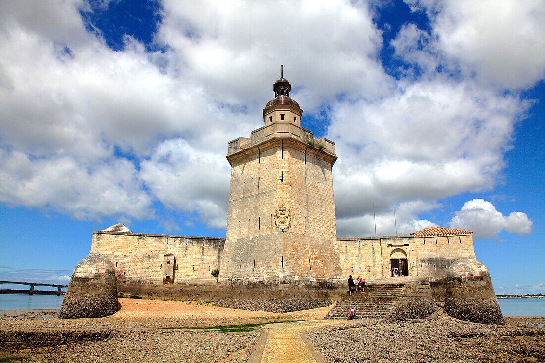 Frankreich,Nouvelle Aquitaine,Charente Maritime department (17),Marennes area,Bourcefranc le Chapus