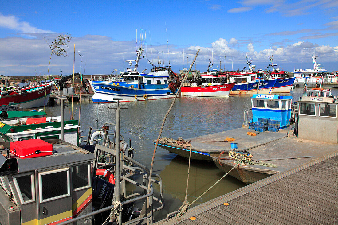 Frankreich,Nouvelle Aquitaine,Charente Maritime department (17),Marennes area,Bourcefranc le Chapus