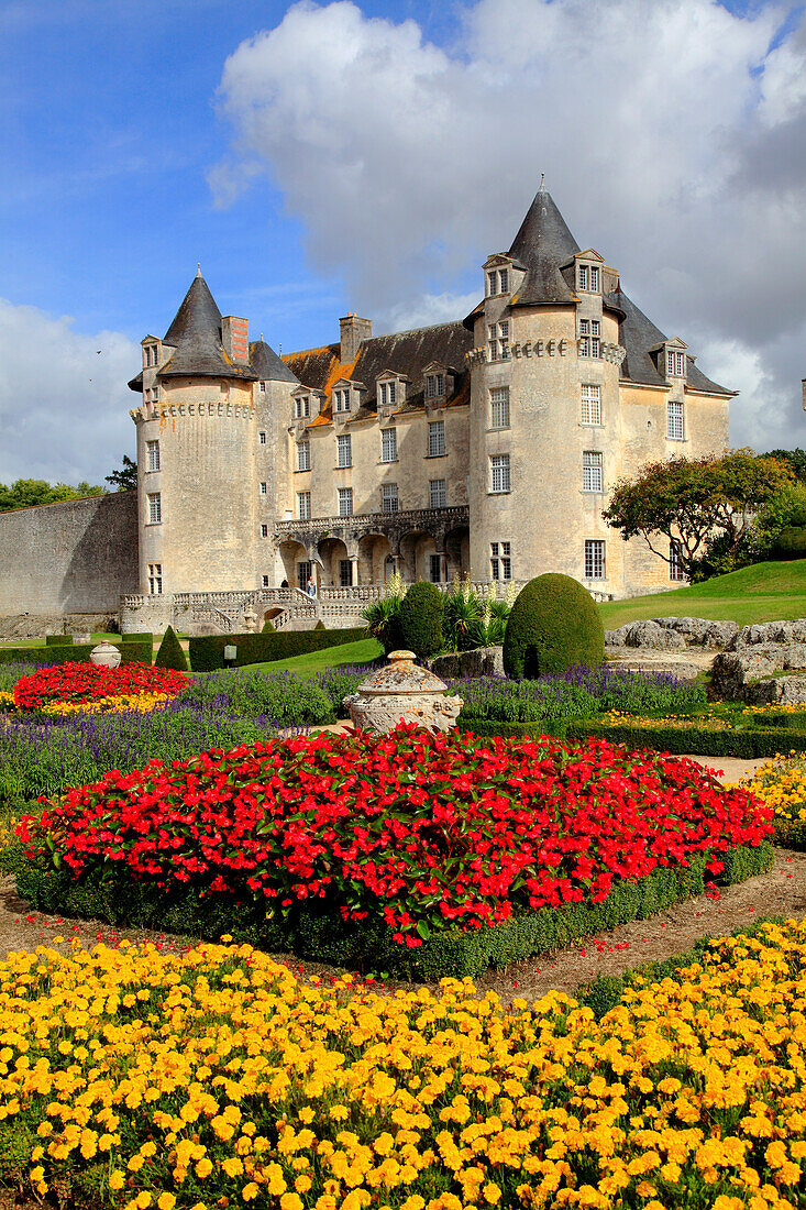 France,Nouvelle Aquitaine,Charente Maritime department (17),Saint Porchaire,La Roche Courbon castle