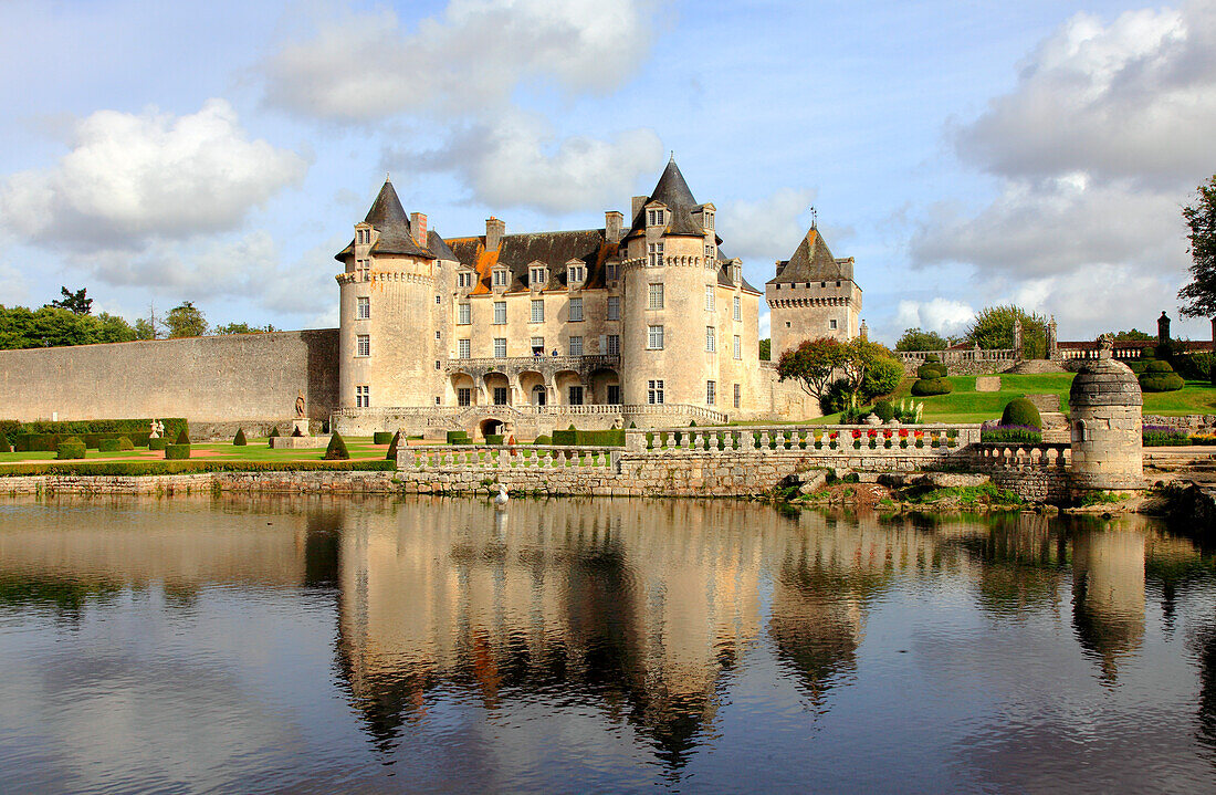 France,Nouvelle Aquitaine,Charente Maritime department (17),Saint Porchaire,La Roche Courbon castle