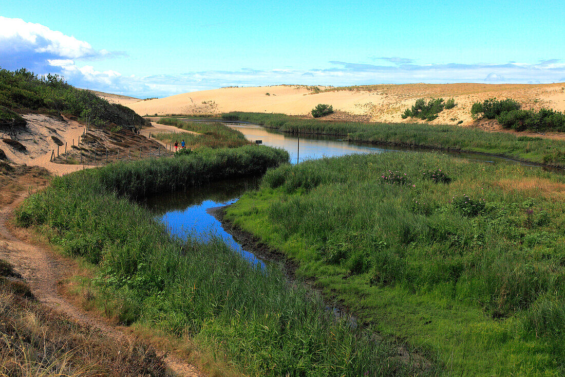 France,Nouvelle Aquitaine,Landes department (40),Moliets et Maa,le courant d'Huchet (river)