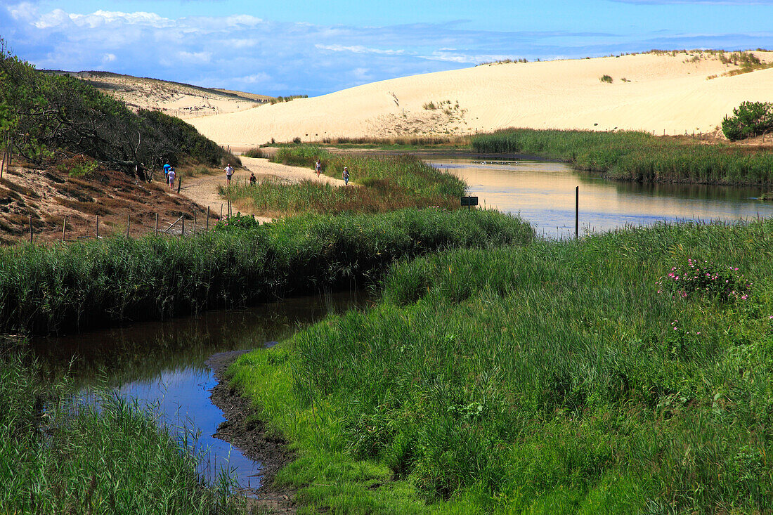 France,Nouvelle Aquitaine,Landes department (40),Moliets et Maa,le courant d'Huchet (river)