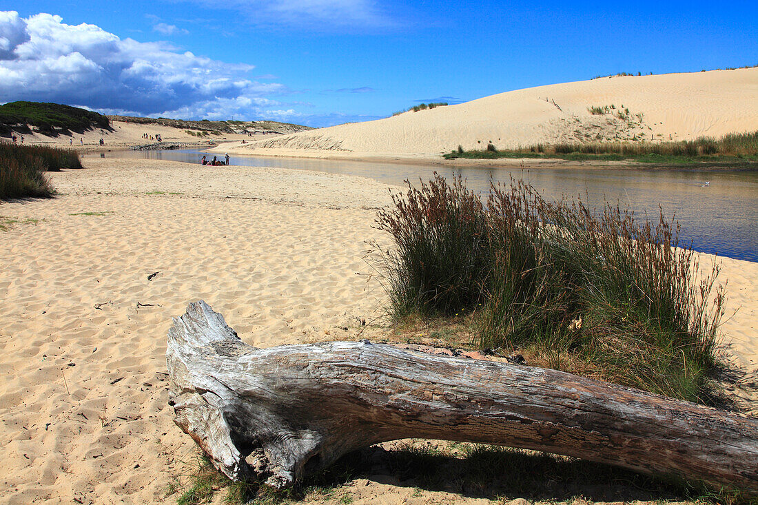 France,Nouvelle Aquitaine,Landes department (40),Moliets et Maa,Moliets plage,le courant d'Huchet (river)