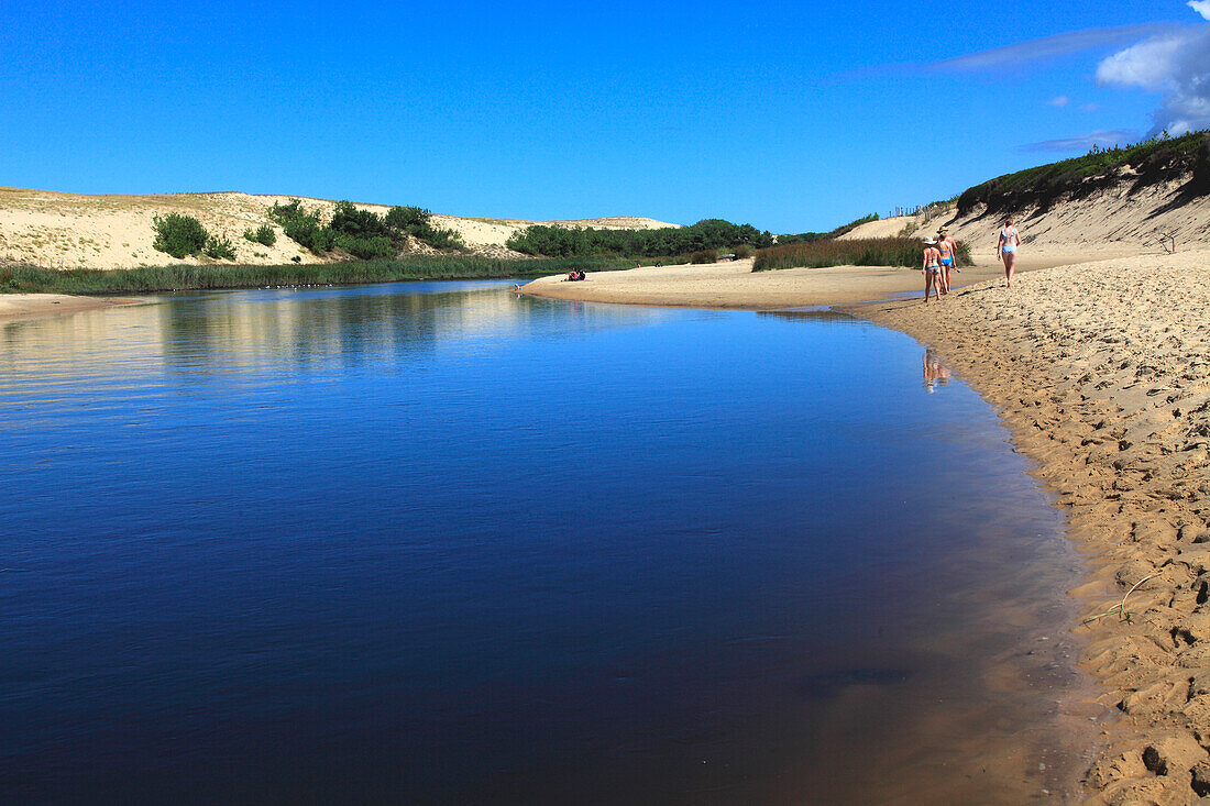 France,Nouvelle Aquitaine,Landes department (40),Moliets et Maa,Moliets plage,le courant d'Huchet (river)