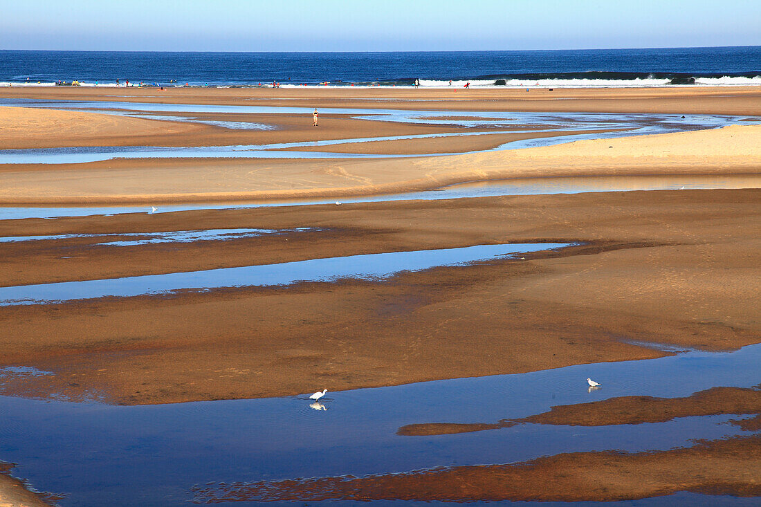 Frankreich,Nouvelle Aquitaine,Landes department (40),Moliets et Maa,Moliets plage