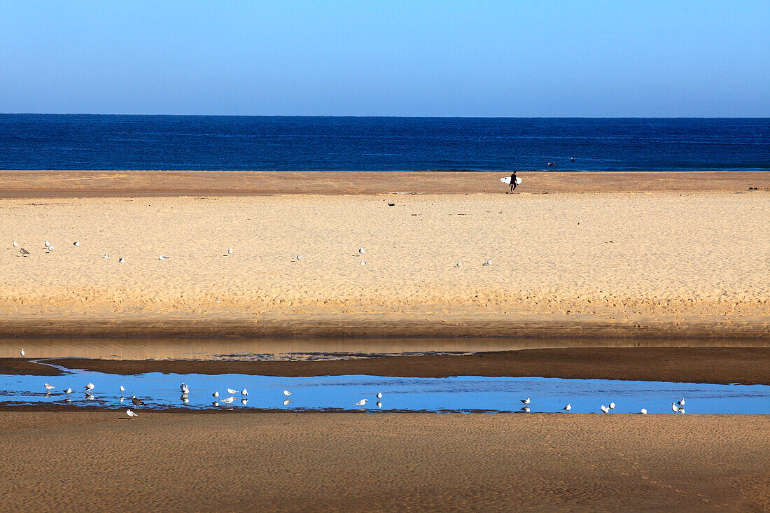 France,Nouvelle Aquitaine,Landes department (40),Moliets et Maa,Moliets plage