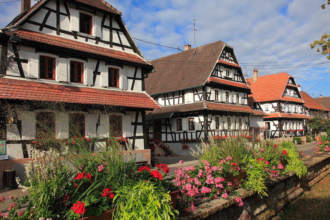 Frankreich,Grand-Est,Bas Rhin (67) Elsass,Hunspach