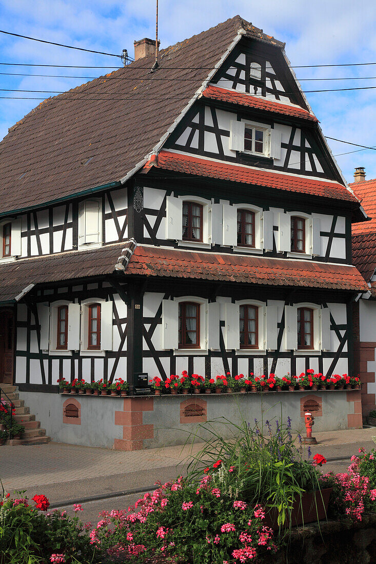 France,Grand-Est,Bas Rhin (67) Alsace,Hunspach