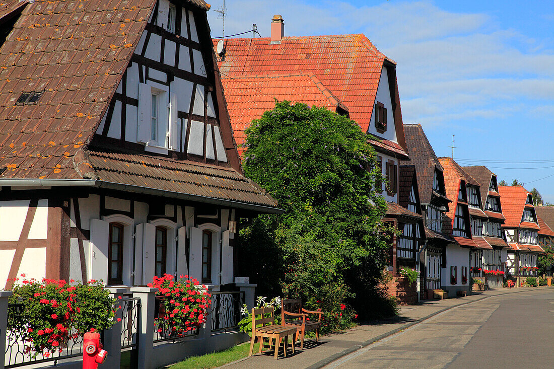 Frankreich,Grand-Est,Bas Rhin (67) Elsass,Hunspach