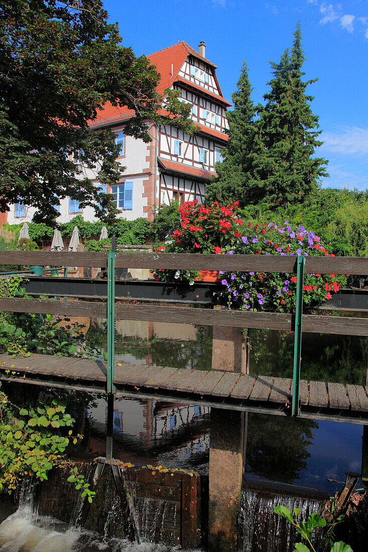 France,Grand-Est,Bas Rhin (67) Alsace,Wissembourg,bruth distrct