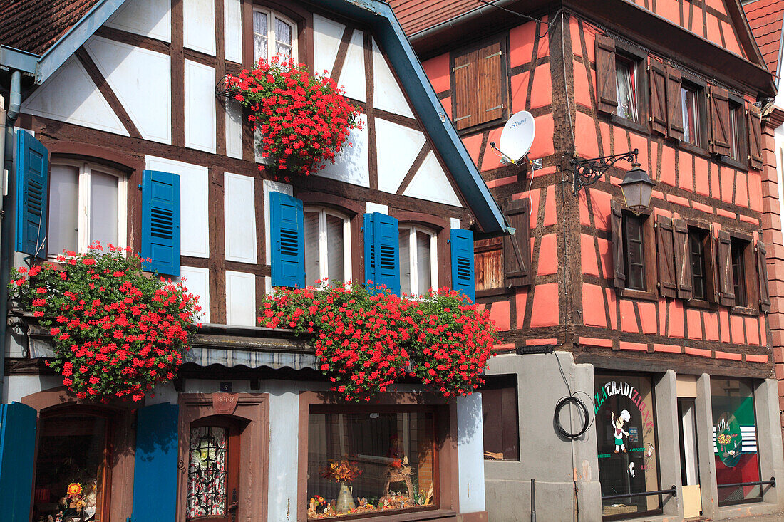 France,Grand-Est,Bas Rhin (67) Alsace,Val de Moder,Pfaffenhoffen