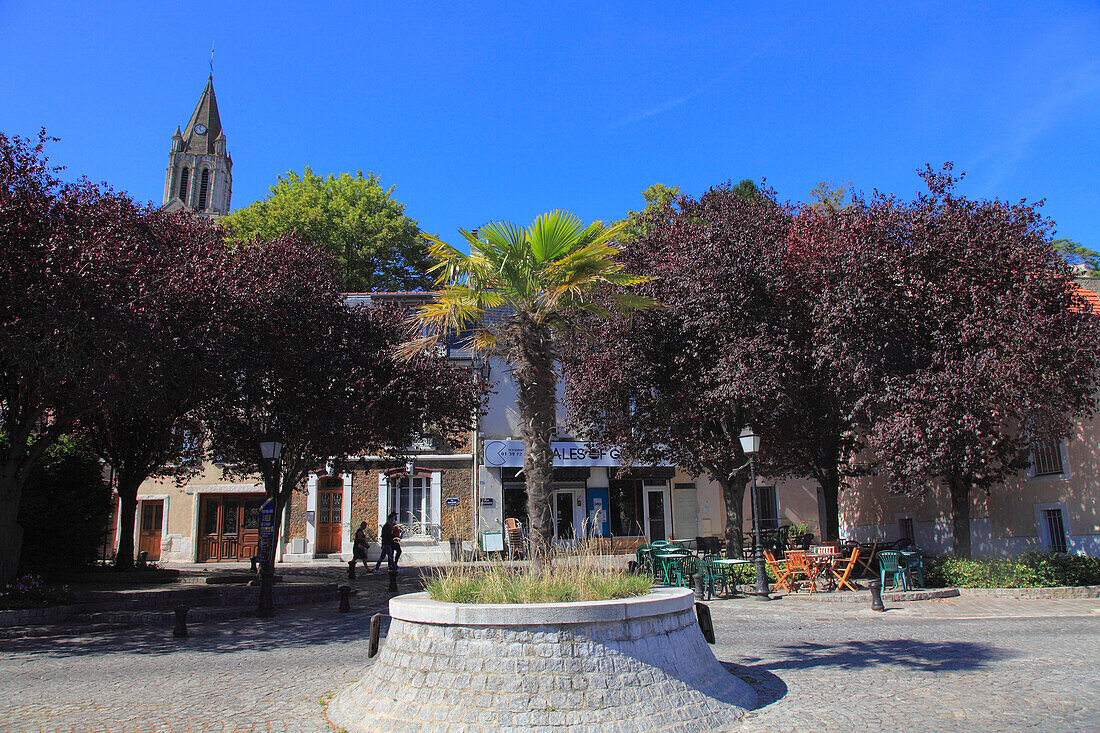 France,Paris Ile de France,Yvelines (78),Conflans Sainte-Honorine