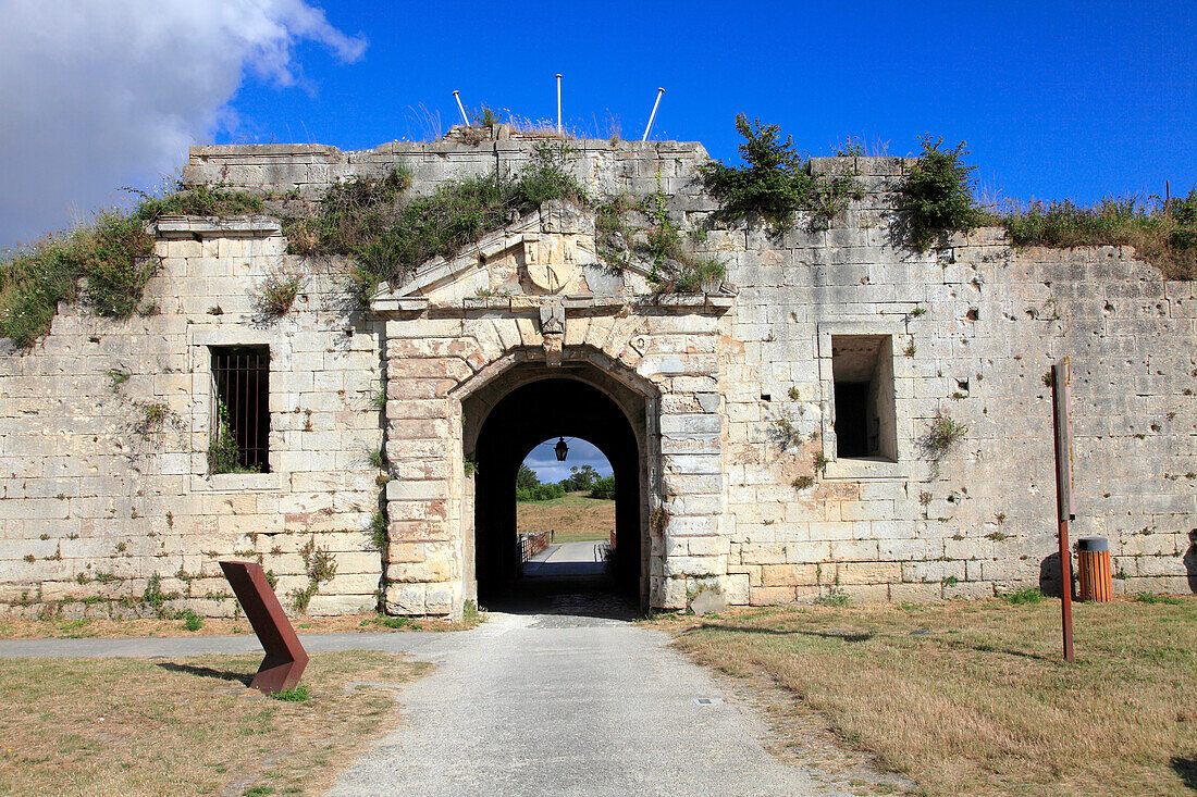 France,Nouvelle Aquitaine,Charente Maritime (17),Oleron island,Le Chateau d'Oleron