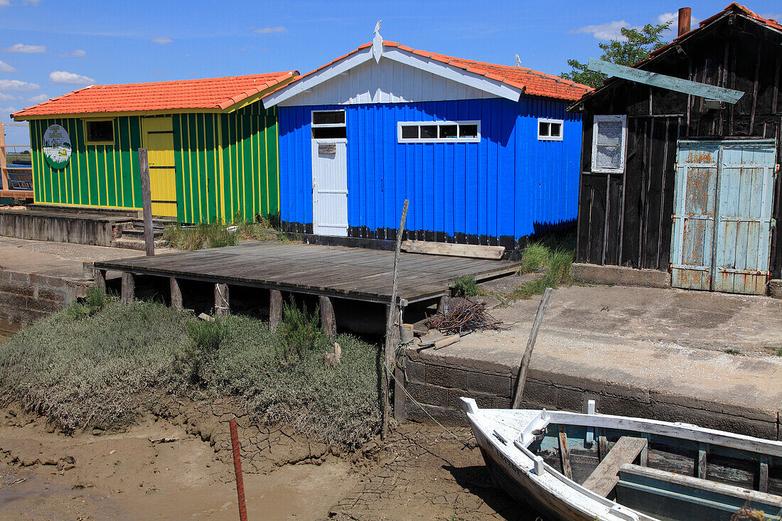 France,Nouvelle Aquitaine,Charente Maritime (17),Oleron island,Saint Pierre d'Oleron,Fort Royer site