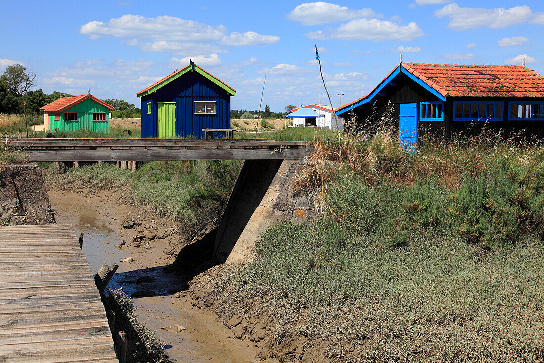 Frankreich,Nouvelle Aquitaine,Charente Maritime (17),Oleron island,Saint Pierre d'Oleron,Fort Royer site