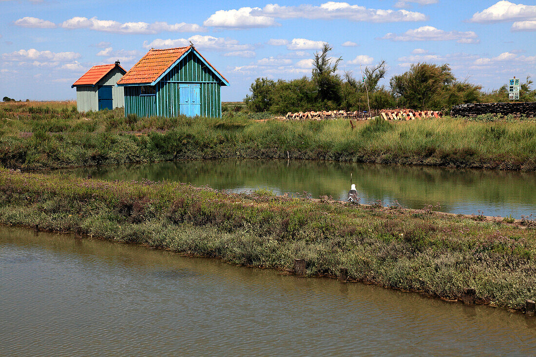 France,Nouvelle Aquitaine,Charente Maritime (17),Oleron island,Saint Pierre d'Oleron,Fort Royer site