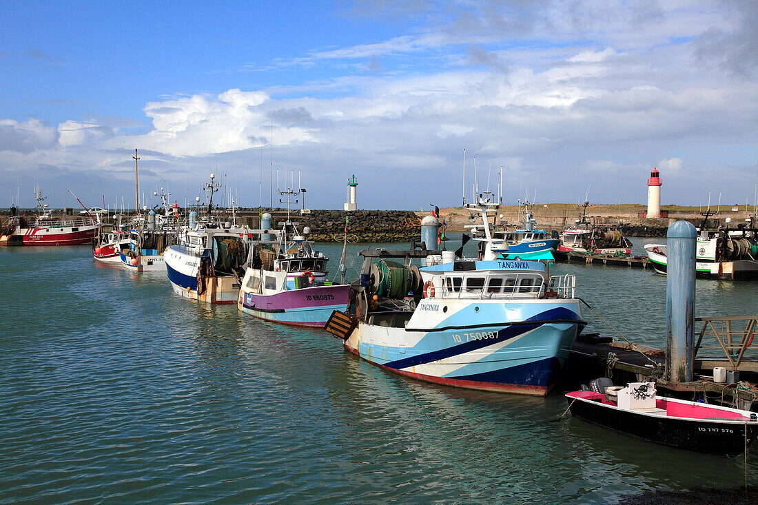 France,Nouvelle Aquitaine,Charente Maritime (17),Oleron island,Saint Pierre d'Oleron,la Cotiniere fishing harbour