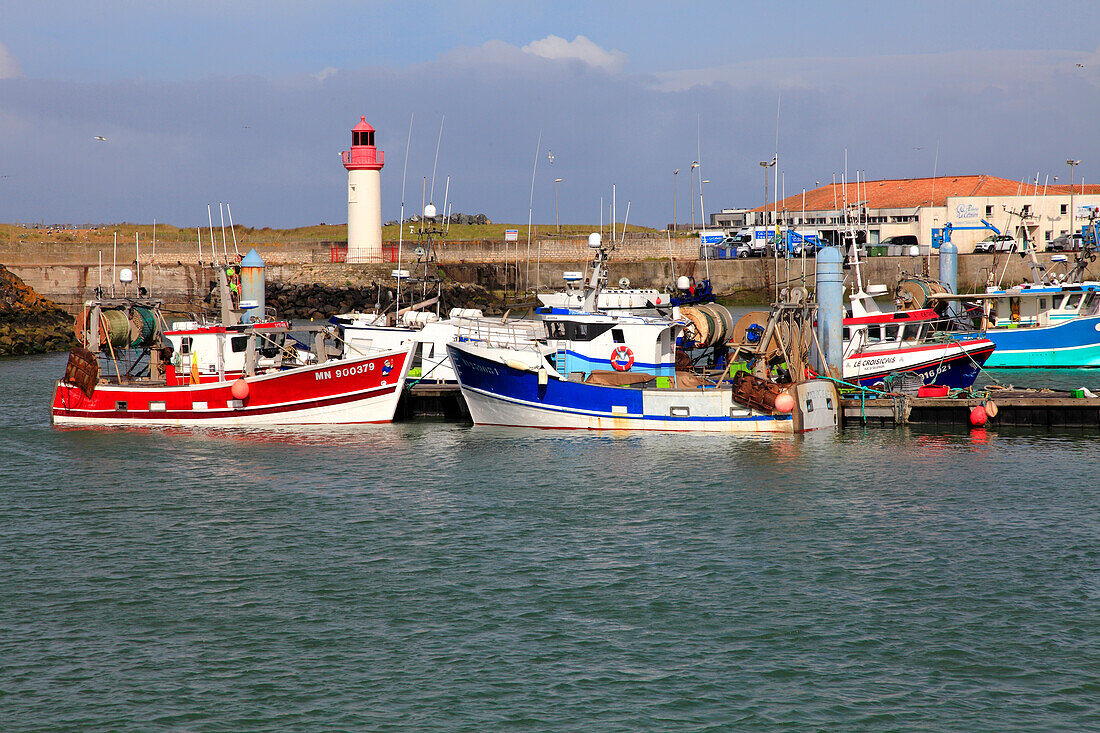 France,Nouvelle Aquitaine,Charente Maritime (17),Oleron island,Saint Pierre d'Oleron,la Cotiniere fishing harbour