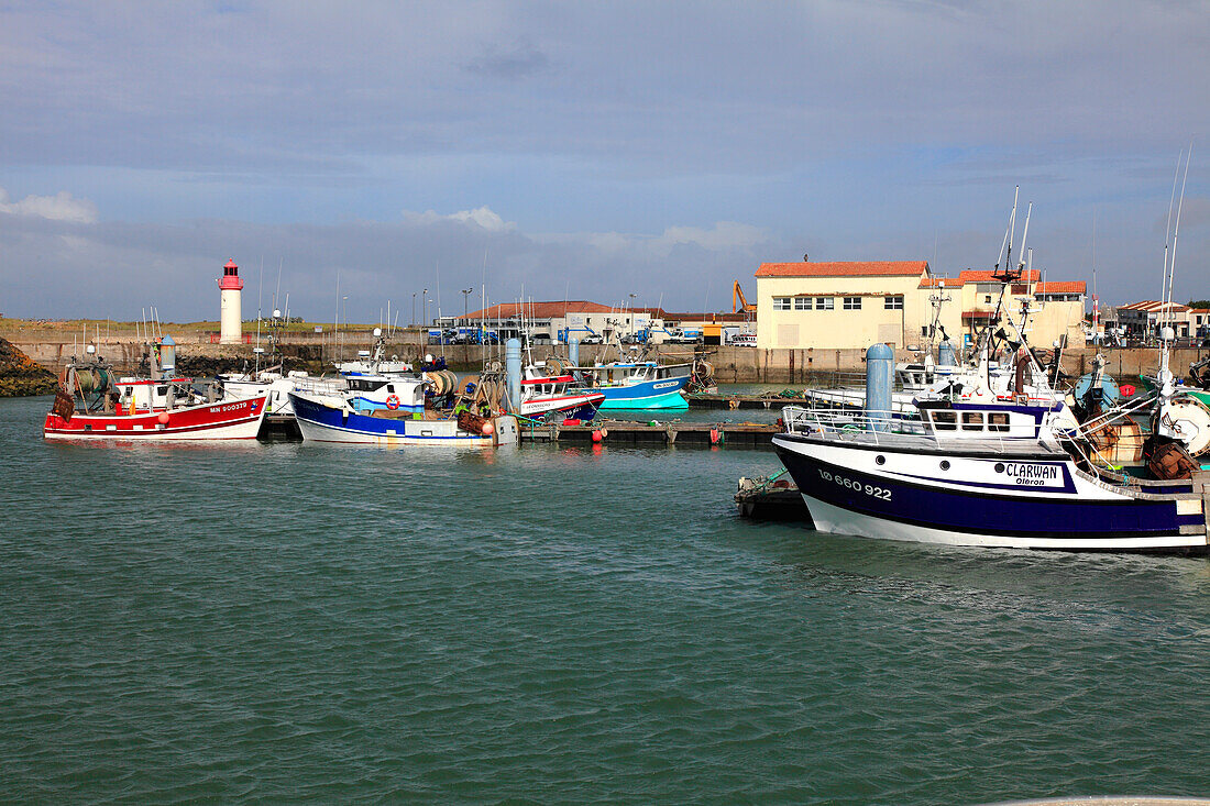 France,Nouvelle Aquitaine,Charente Maritime (17),Oleron island,Saint Pierre d'Oleron,la Cotiniere fishing harbour